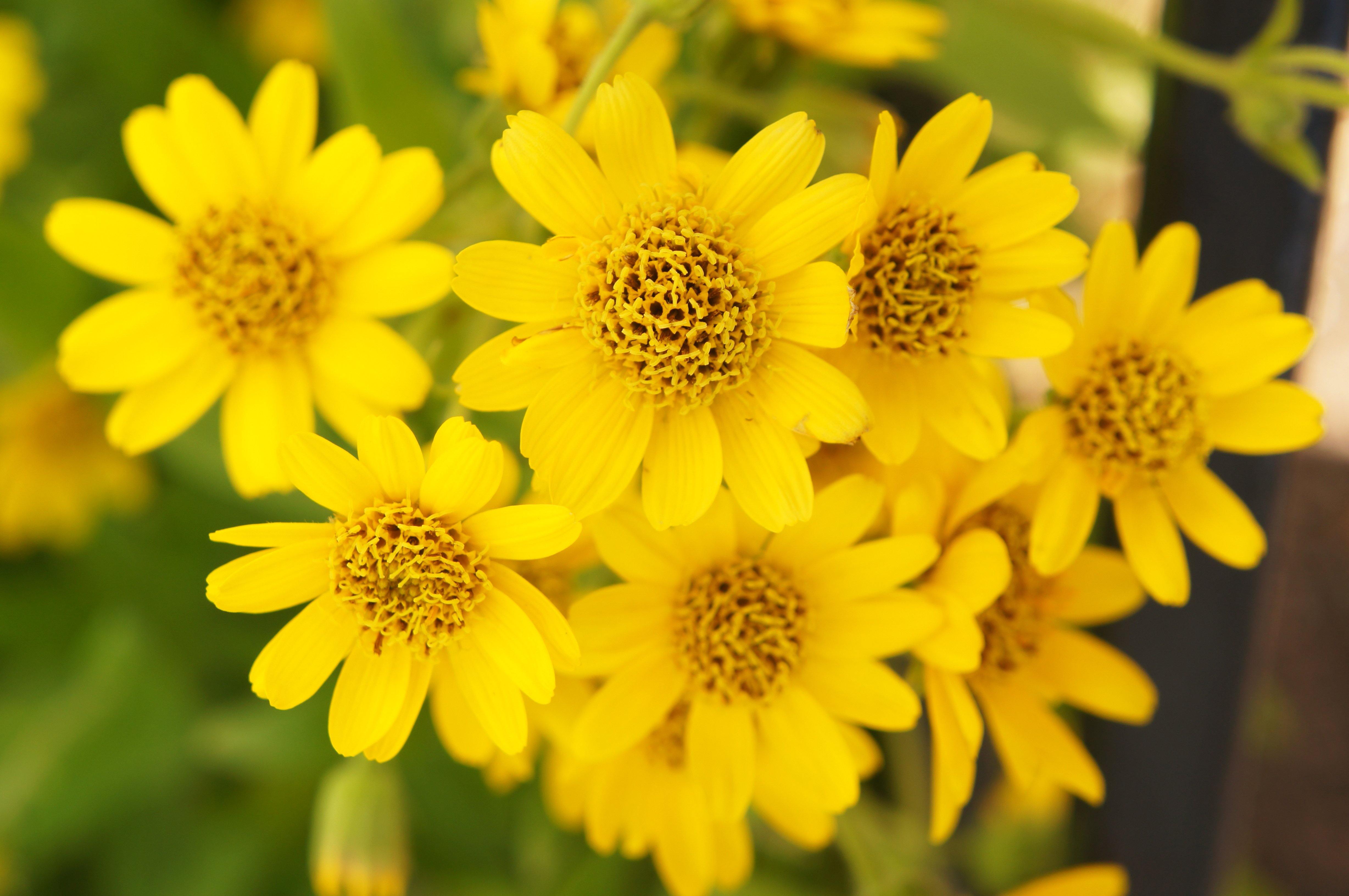 AdobeStock_171837375
