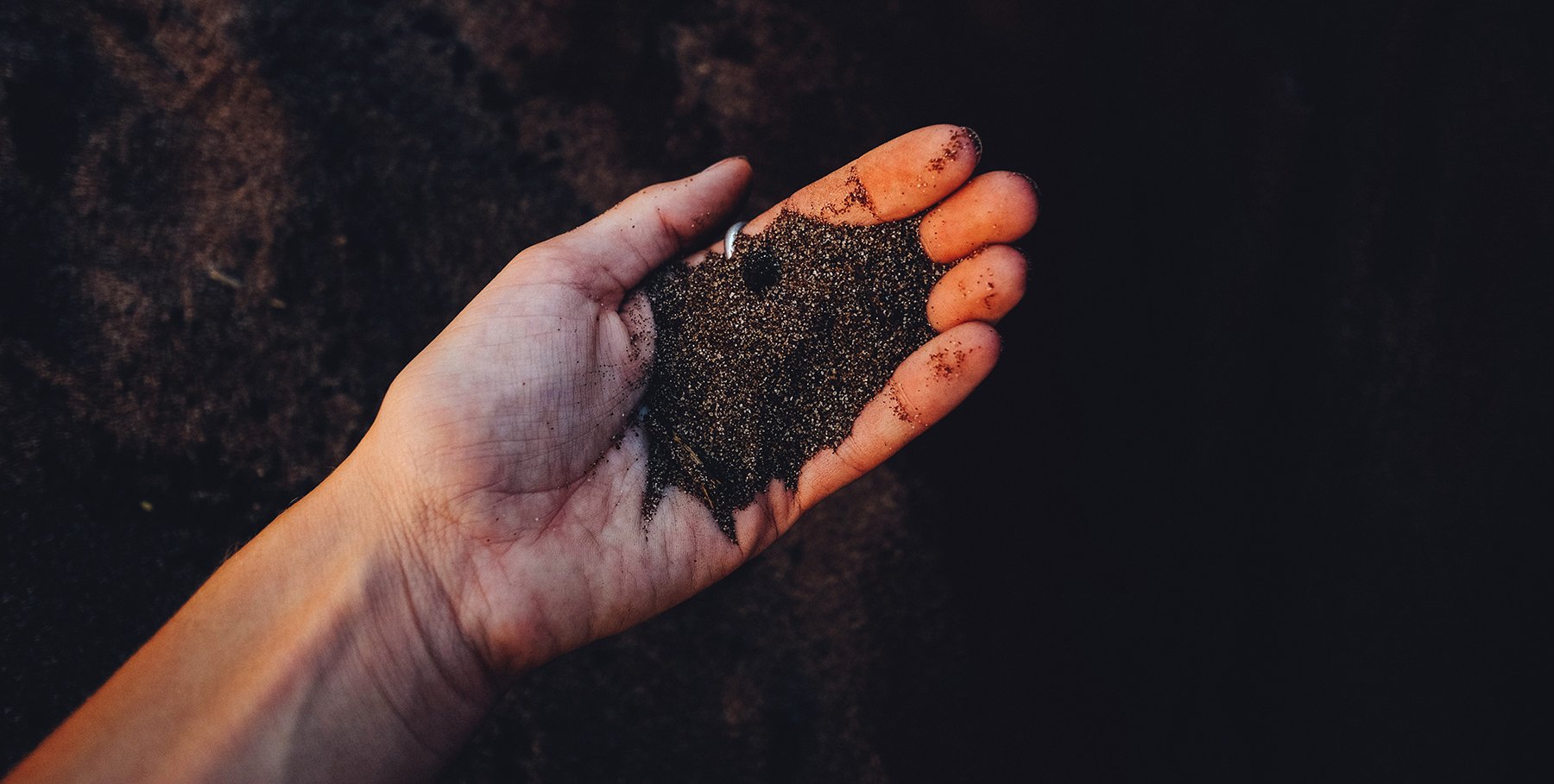 paula-may-566498-unsplash-1